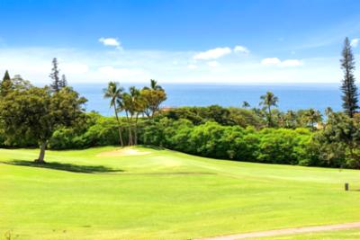 Kaanapali Plantation resort photo