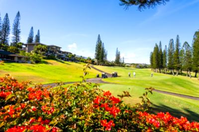 Kapalua Golf Villas resort photo
