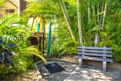 Napili Bay resort photo